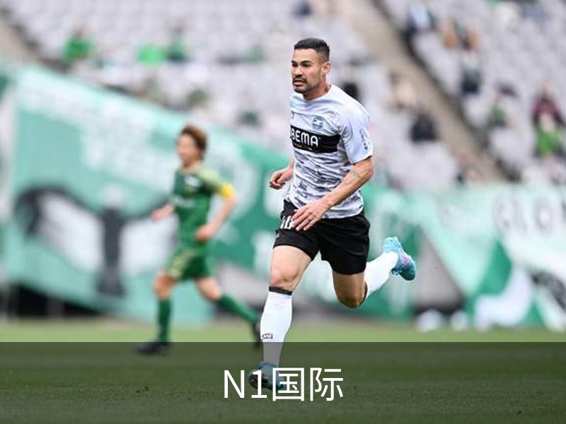 N1国际介绍
